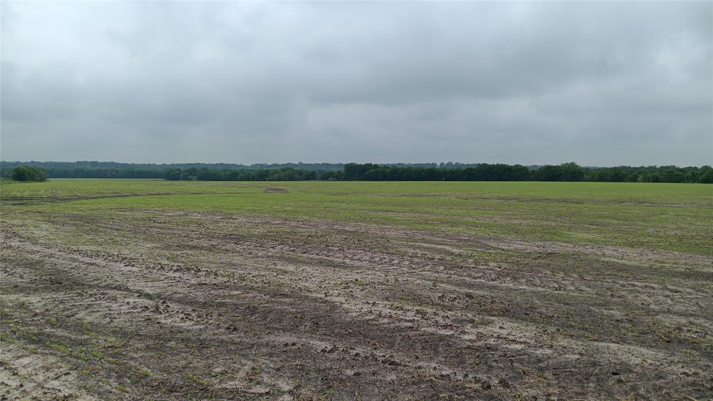Tbd. Hwy 7 Property Photo 9