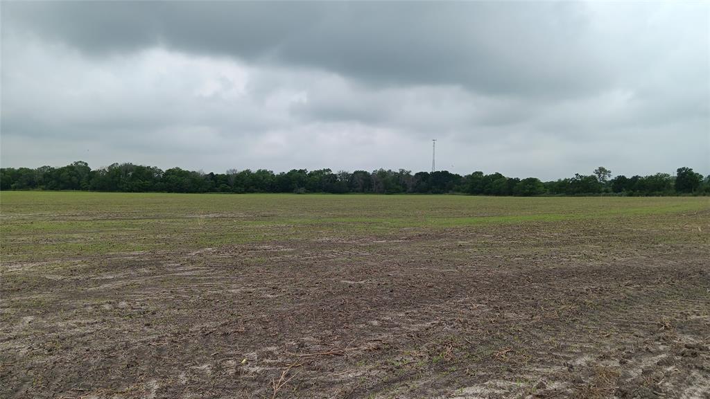 Tbd. Hwy 7 Property Photo 11