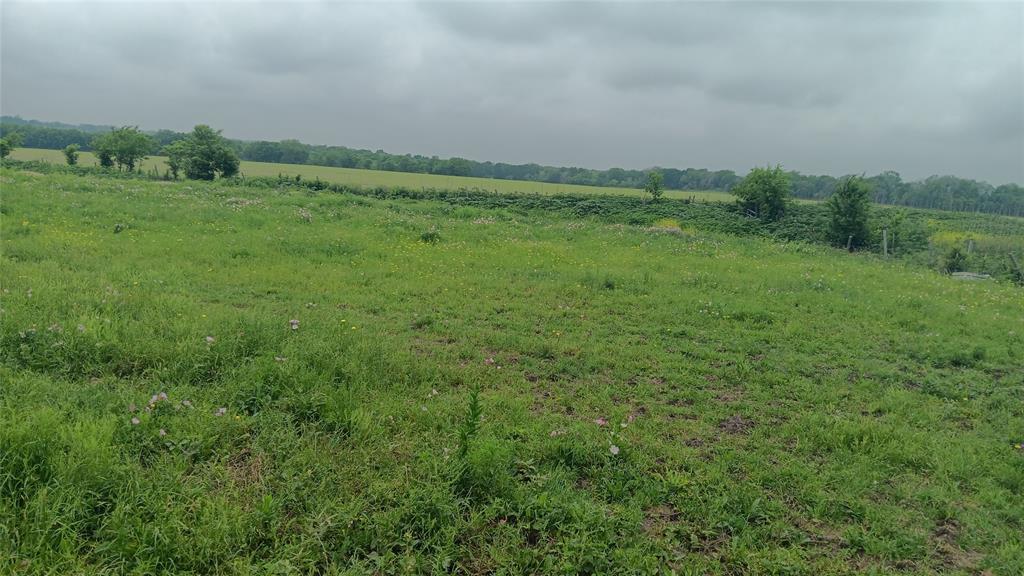 Tbd. Hwy 7 Property Photo 13