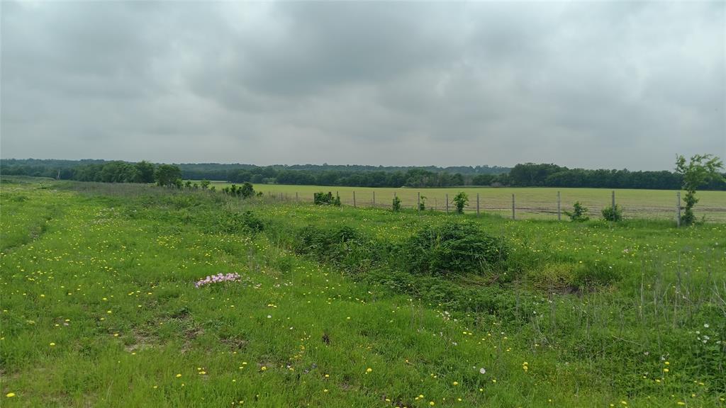 Tbd. Hwy 7 Property Photo 14