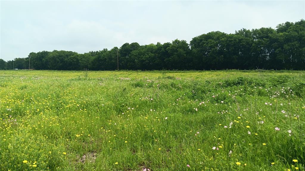 Tbd. Hwy 7 Property Photo 16
