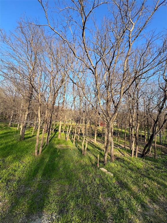 9220 Apache Trail Property Photo 6