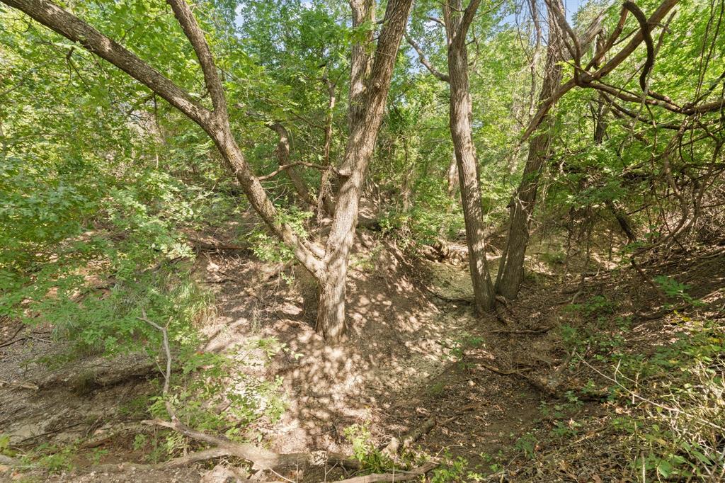 271 Jupiter Trail Property Photo 39