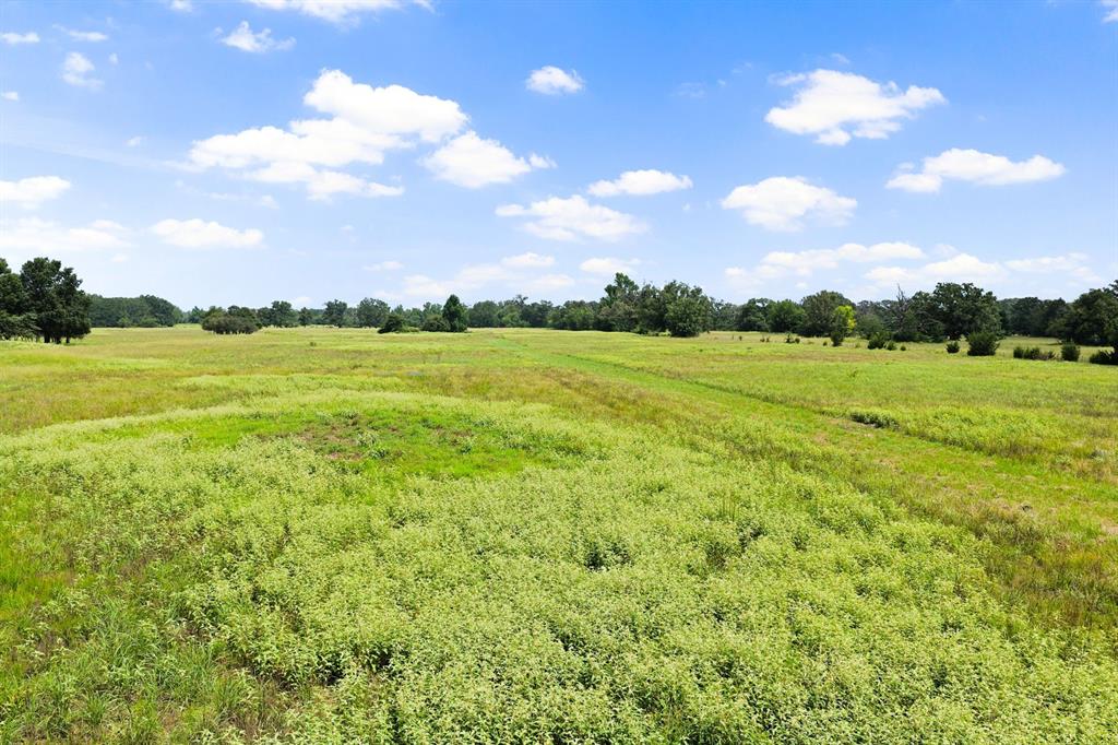 495 Ne County Road 2220 Property Photo 4