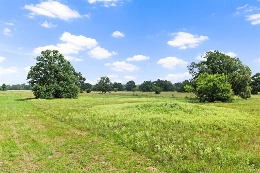 495 Ne County Road 2220 Property Photo 5