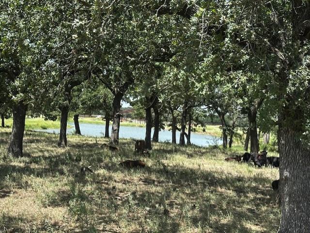 10400 Lipan Highway Property Photo 3