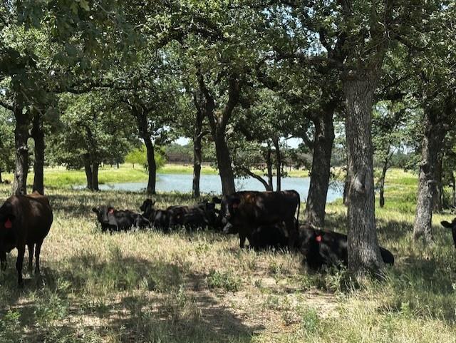 10400 Lipan Highway Property Photo 4