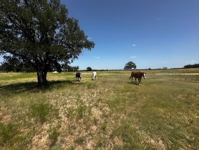 10400 Lipan Highway Property Photo 8