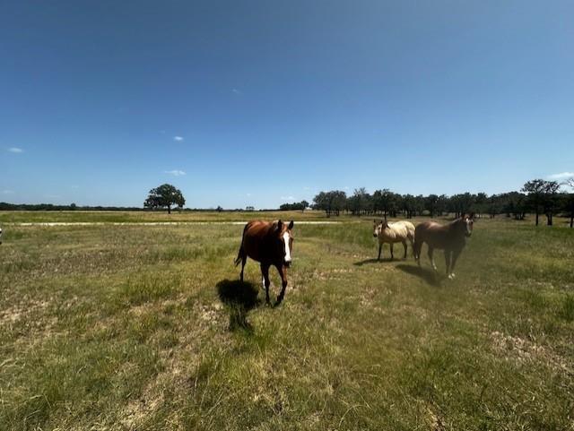 10400 Lipan Highway Property Photo 9