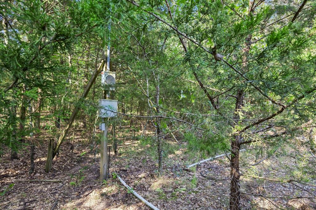 0 Tbd Hare Lane 11 Acre Property Photo 3