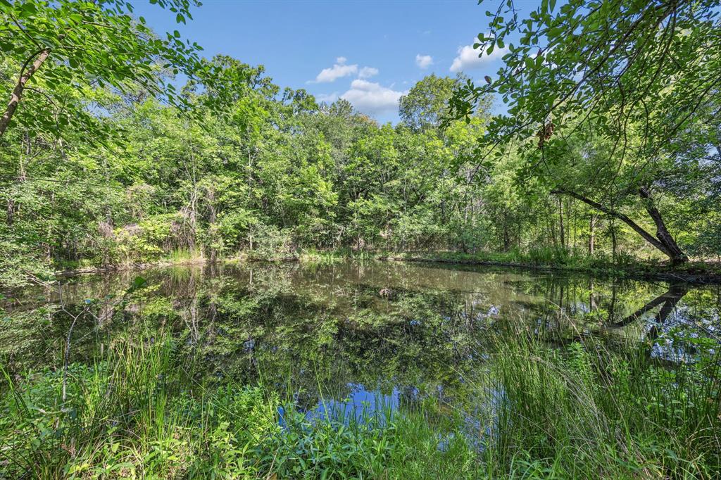 0 Tbd Hare Lane 11 Acre Property Photo 6