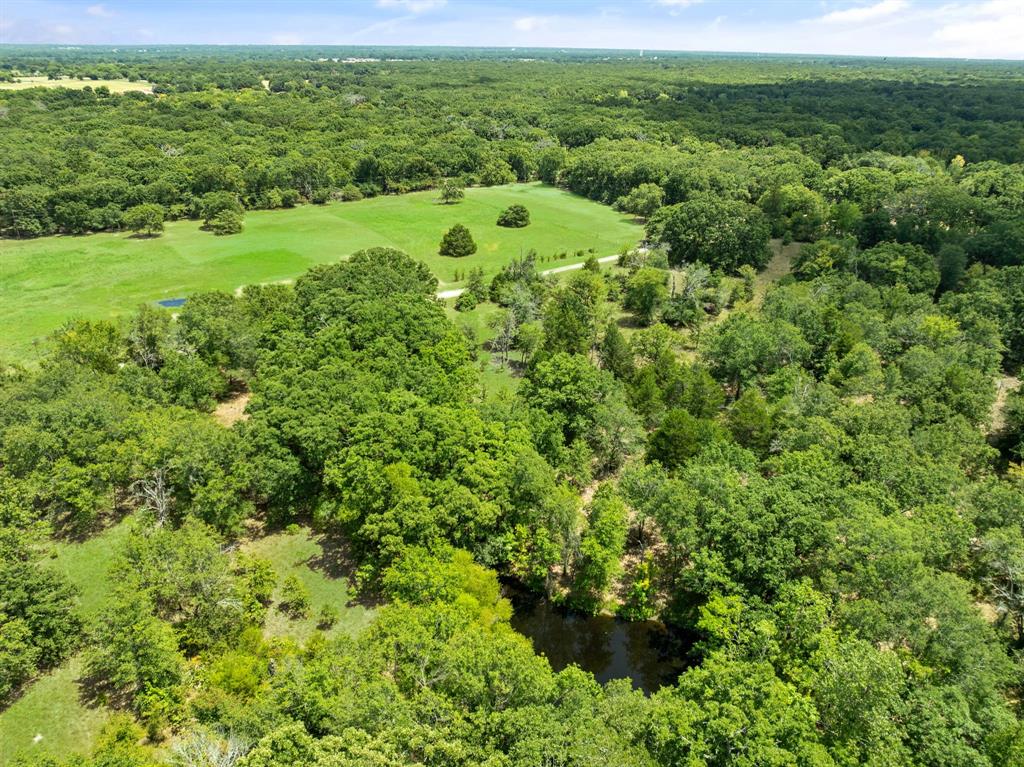 0 Tbd Hare Lane 11 Acre Property Photo 7