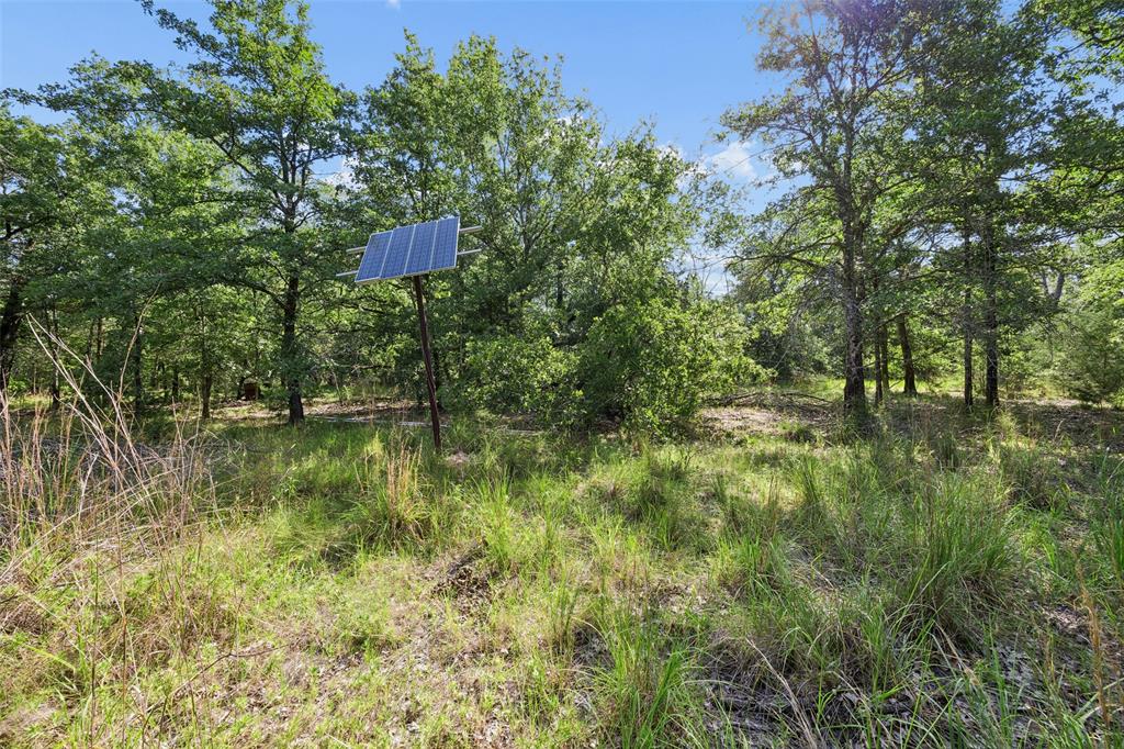 0 Tbd Hare Lane 11 Acre Property Photo 11