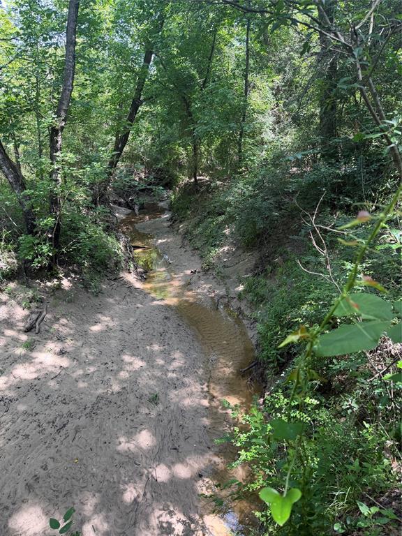 0 Tbd Hare Lane 11 Acre Property Photo 13