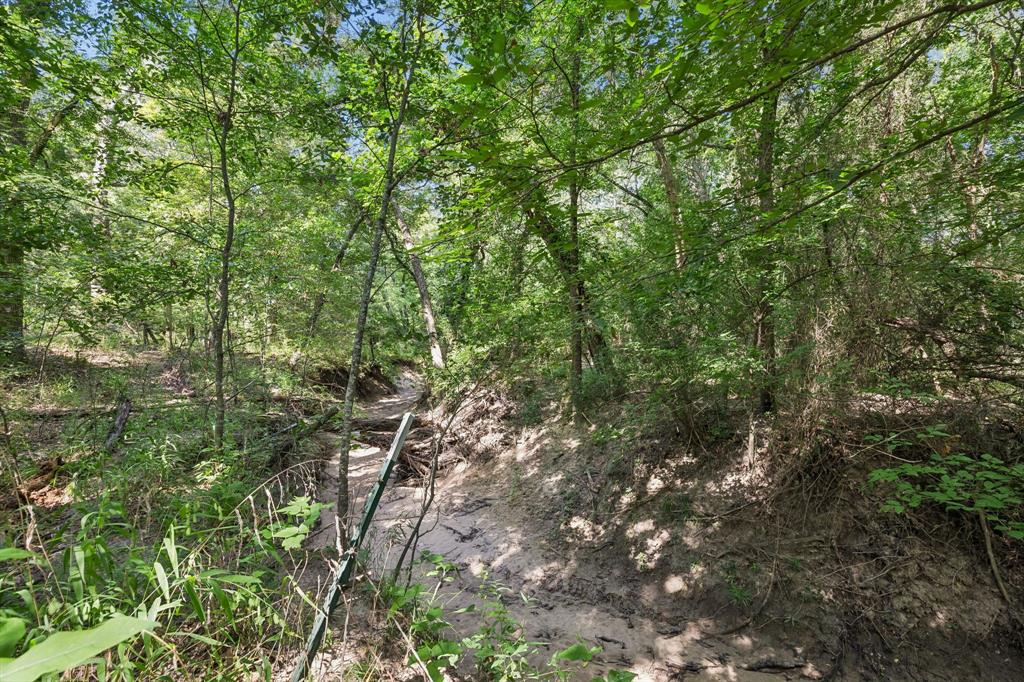 0 Tbd Hare Lane 11 Acre Property Photo 14