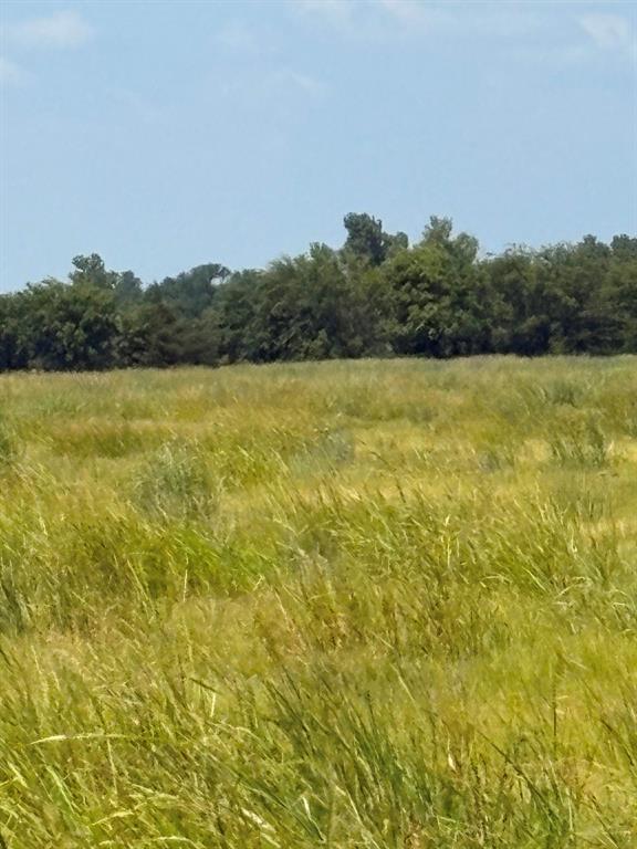 Tbd County Road 3020 Property Photo 1