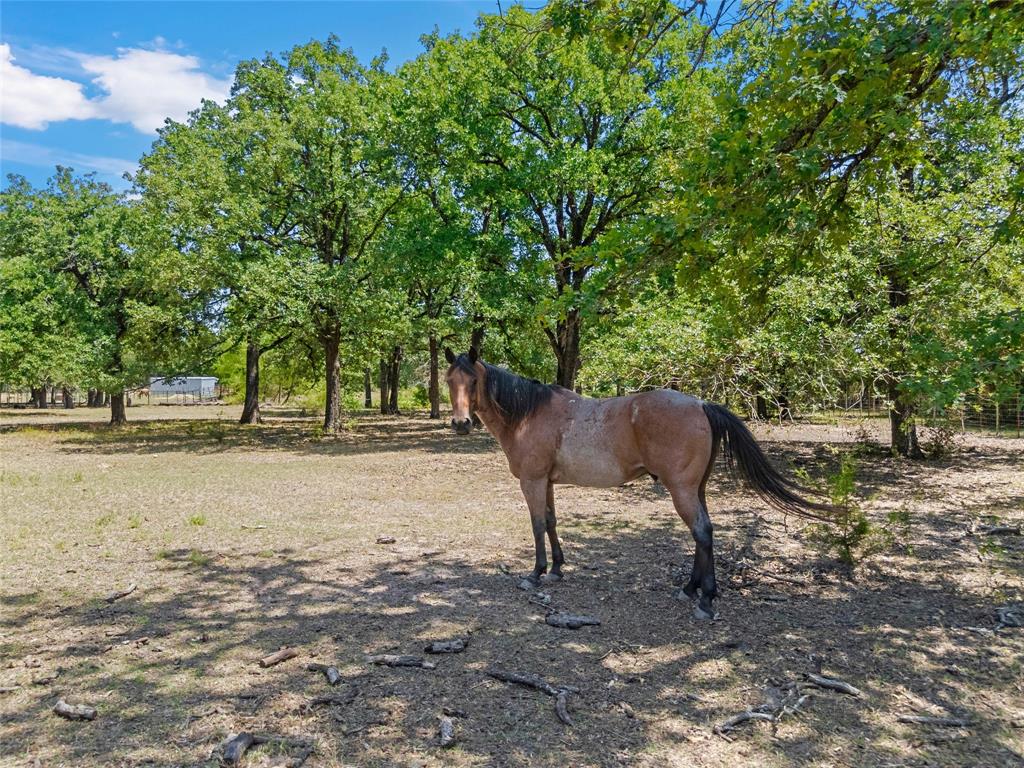 1047 Fort Hill Road Property Photo 17