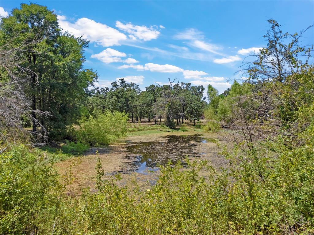 1047 Fort Hill Road Property Photo 18