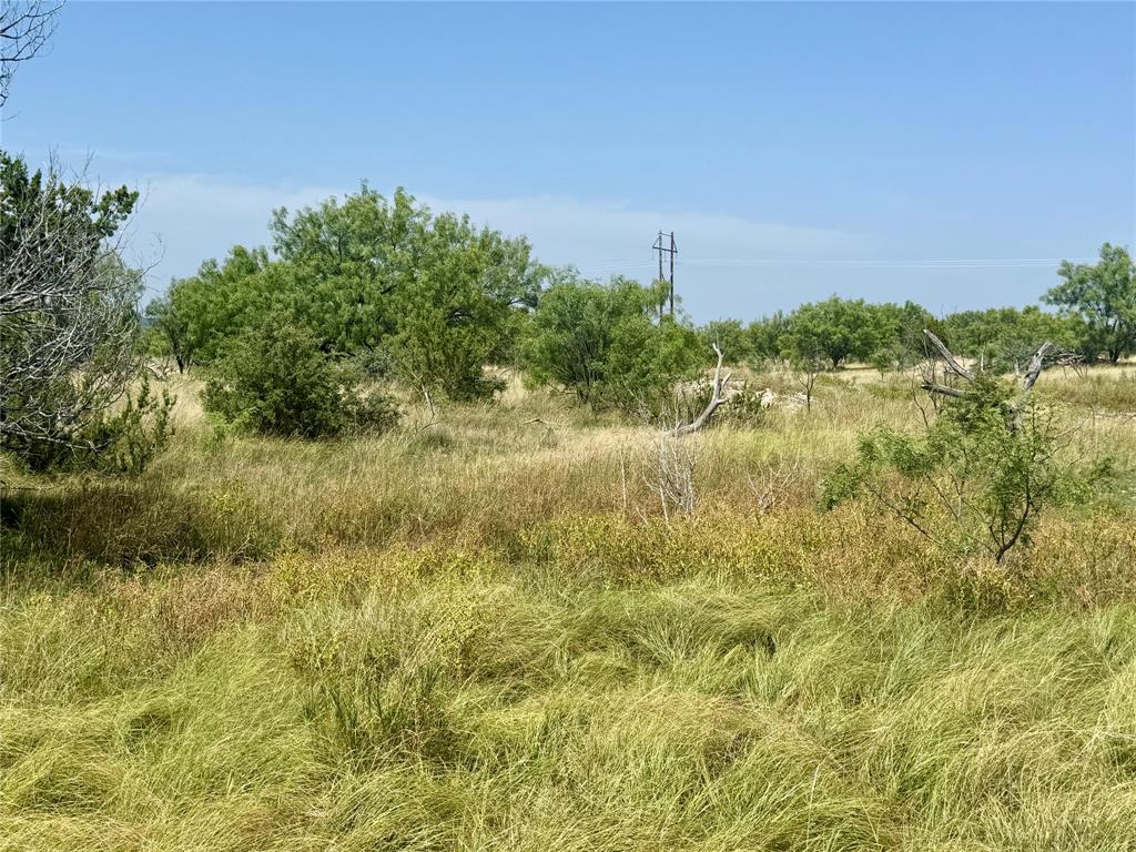 2553 Stonewall Valley Property Photo 37
