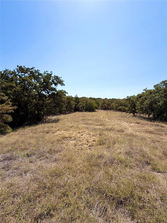 118 Elm Cove Property Photo 4
