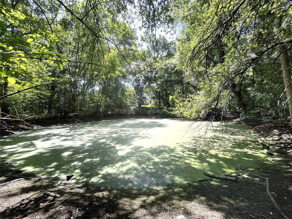 1229 Epps Road Property Photo 37