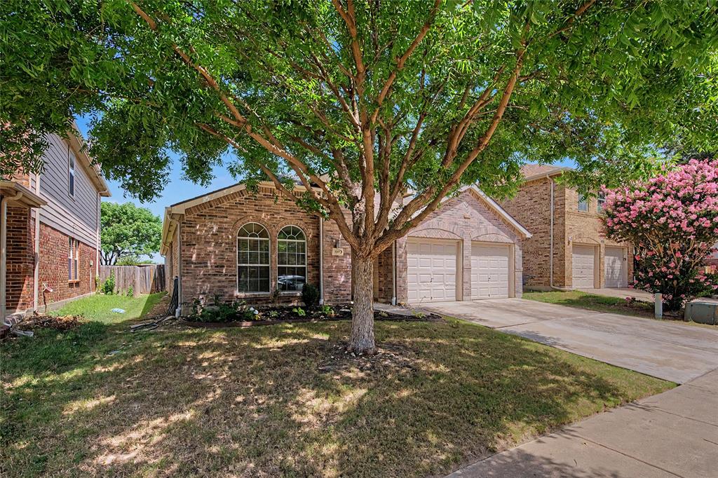 9225 Comanche Ridge Drive Property Photo 2