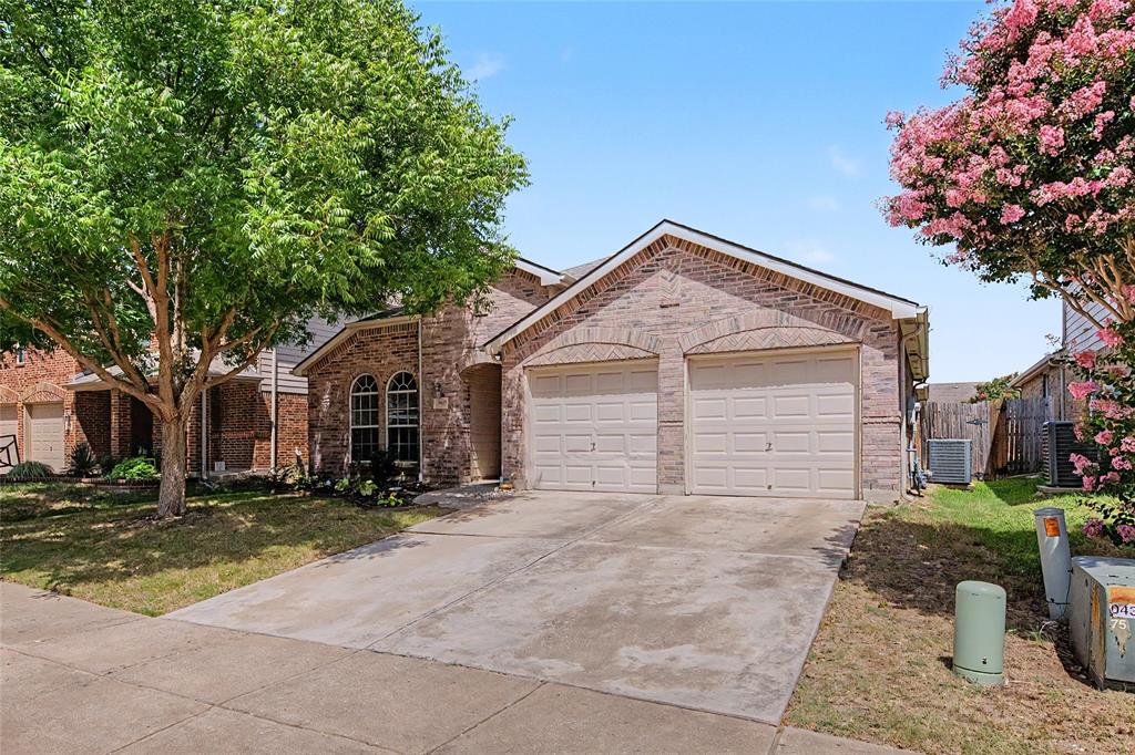 9225 Comanche Ridge Drive Property Photo 15