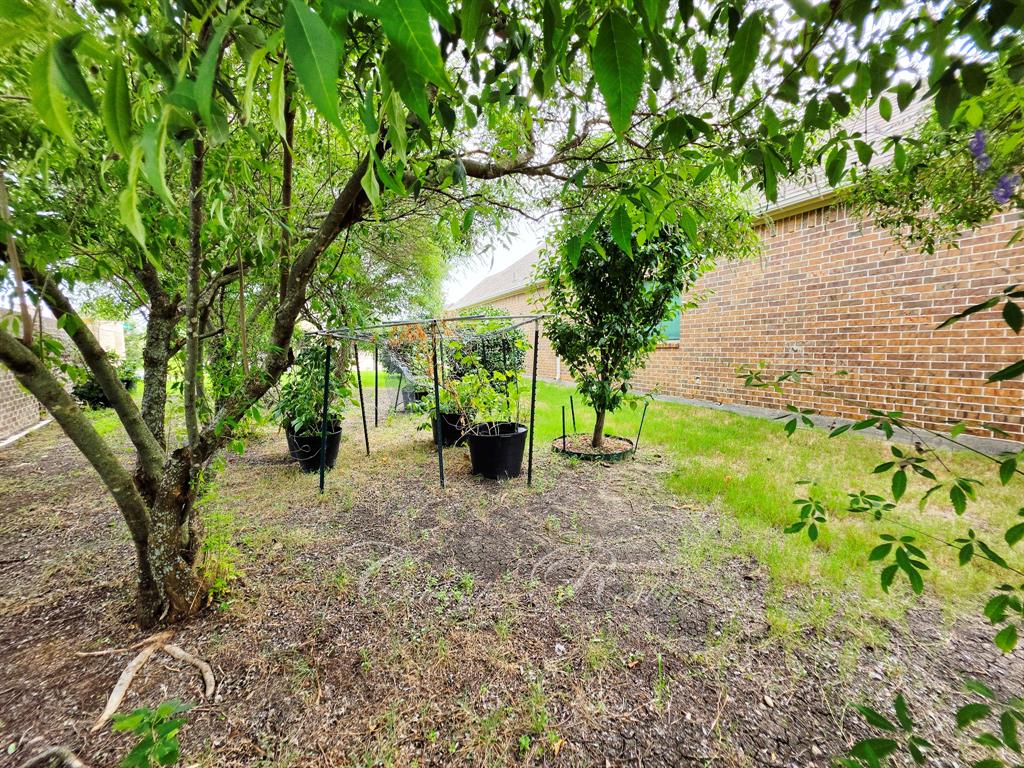 1103 Saint Matthew Circle Property Photo 6