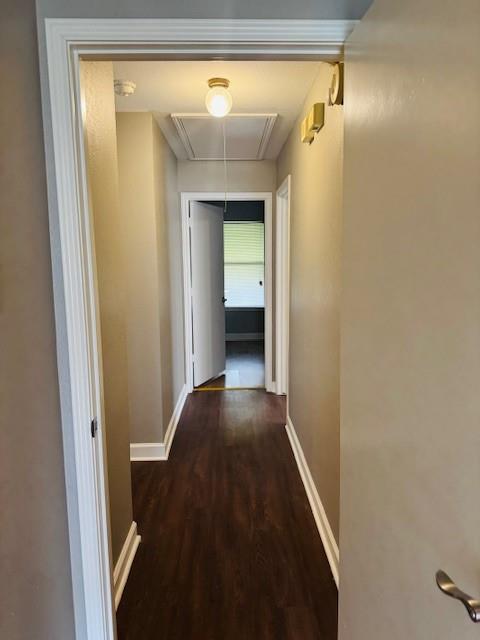 4722 Fallon Place Property Photo 10