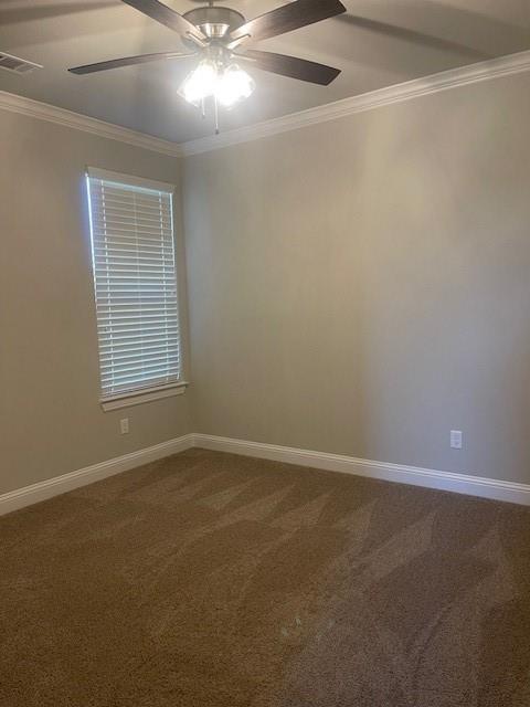 1036 Timber Hills Drive Property Photo 19