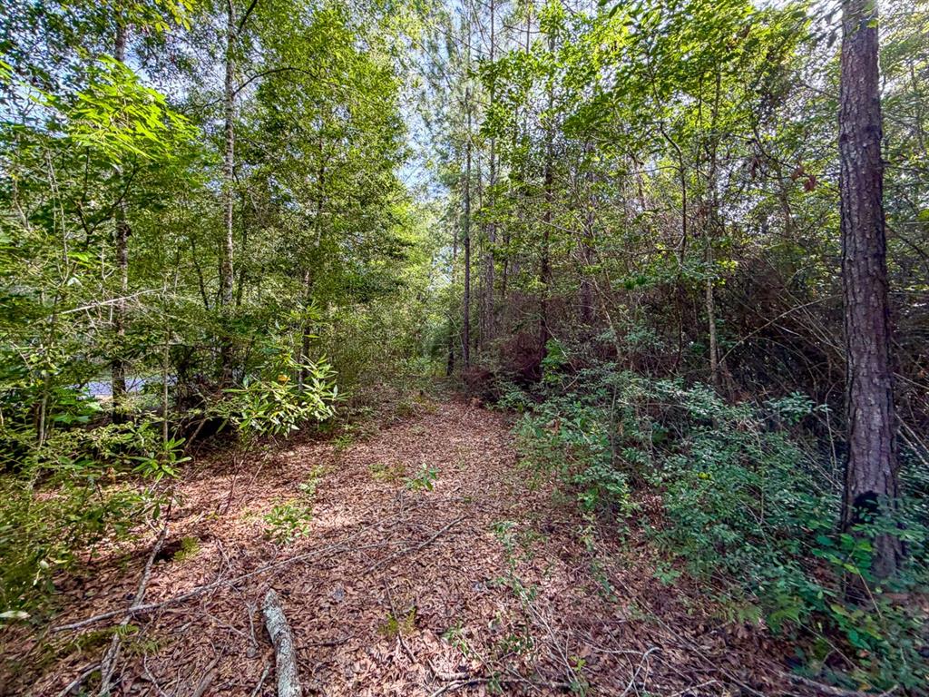 08 Fm 787 Property Photo 3