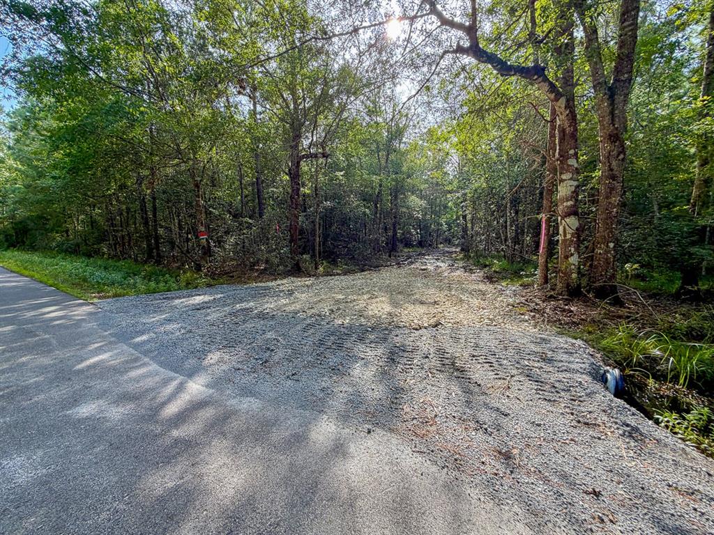 08 Fm 787 Property Photo 5