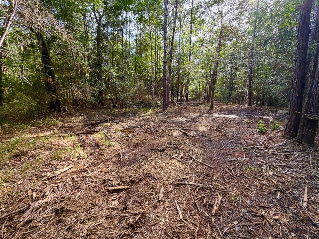 08 Fm 787 Property Photo 6