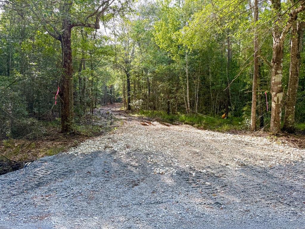 08 Fm 787 Property Photo 12