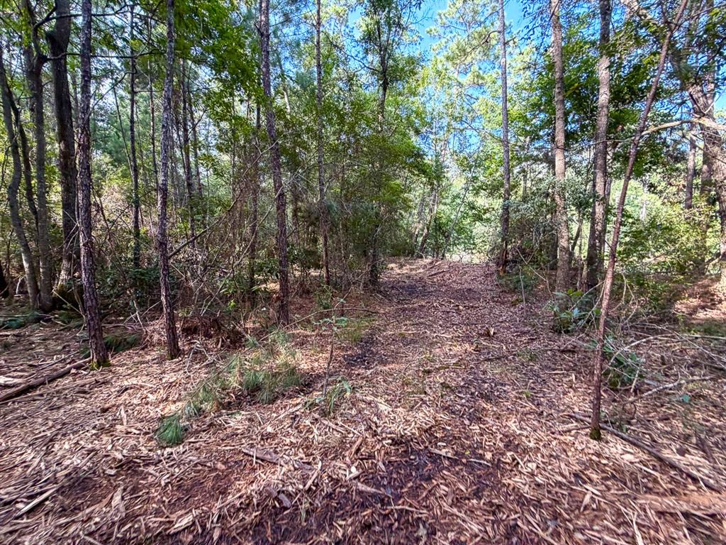 03 Fm 787 Property Photo 12