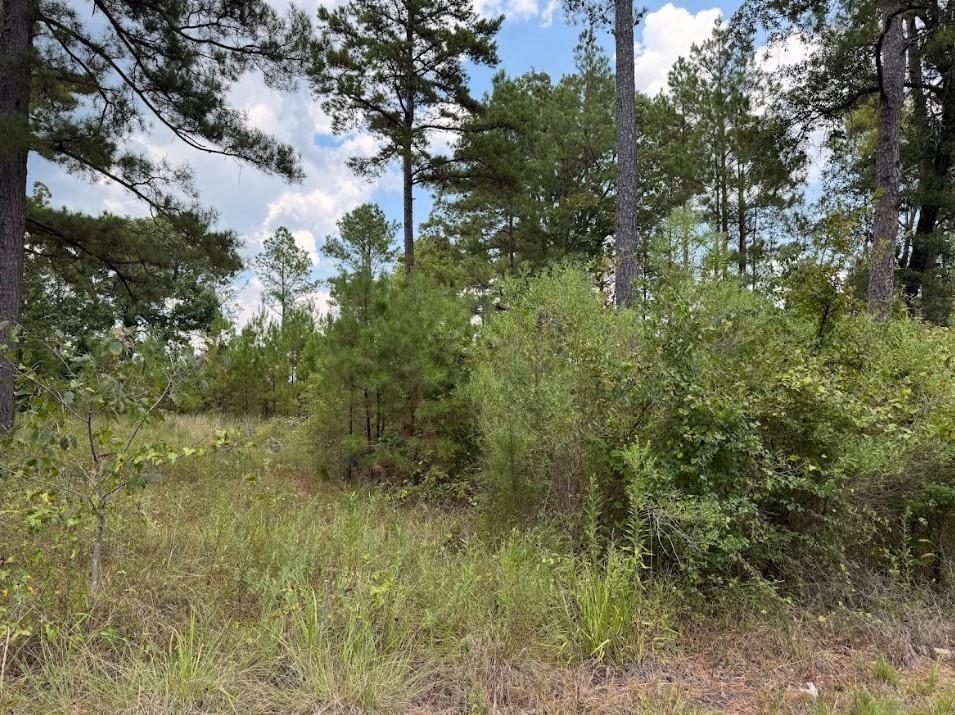 0 Hwy 157 Property Photo 1