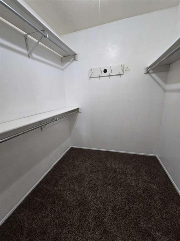 6932 Misty Glen Court Property Photo 15