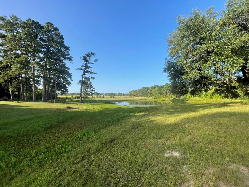 7470 Fm 317 Property Photo 29