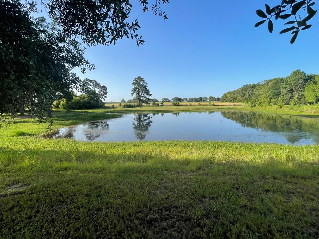 7470 Fm 317 Property Photo 30