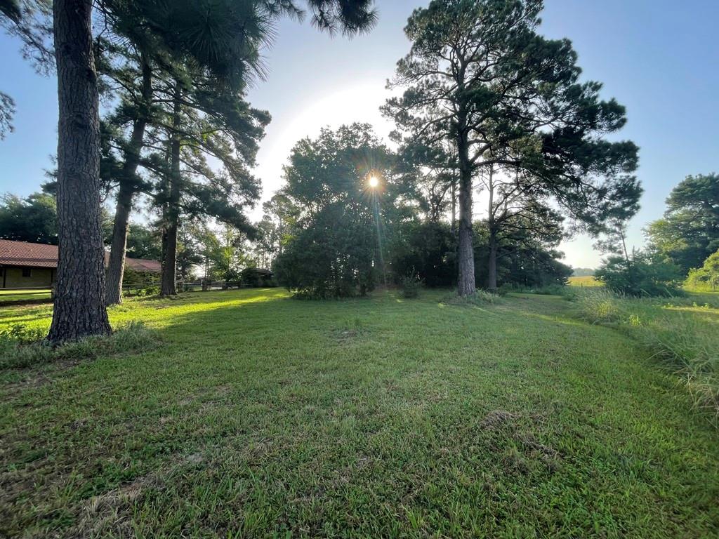 7470 Fm 317 Property Photo 32