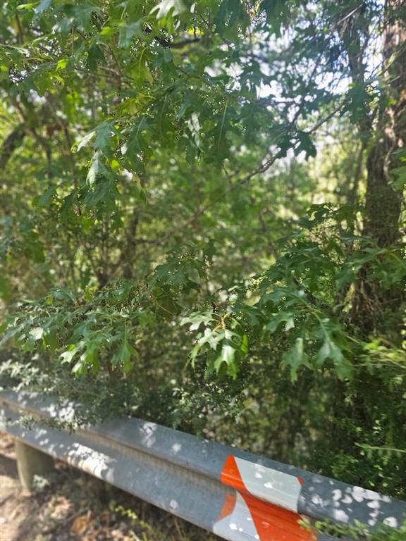 200 N Manus Drive Property Photo 1