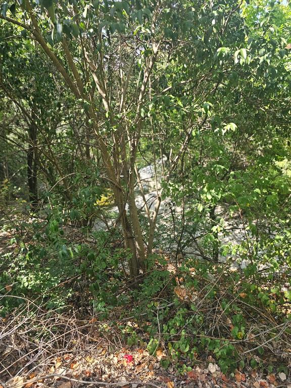 200 N Manus Drive Property Photo 2
