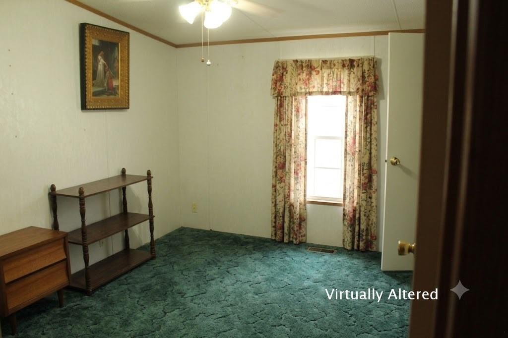 1135 County Road 269 Property Photo 7