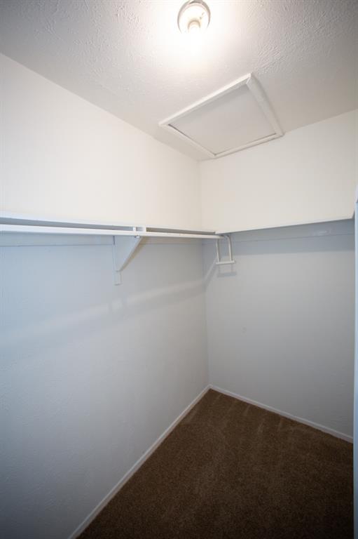 13552 Waterfall Way Property Photo 21