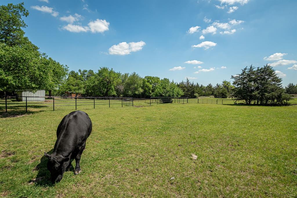 14392 State Highway 78 Property Photo 39