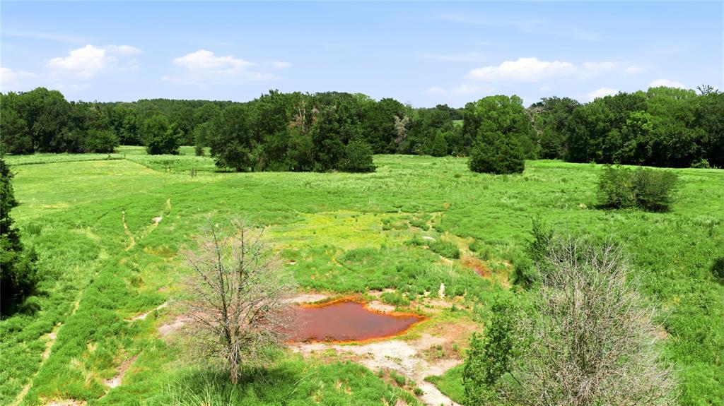 10150 Fm 2709 Property Photo 4