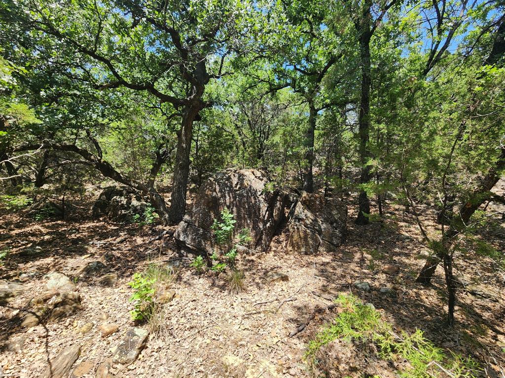 2784 Highway 180 Property Photo 13