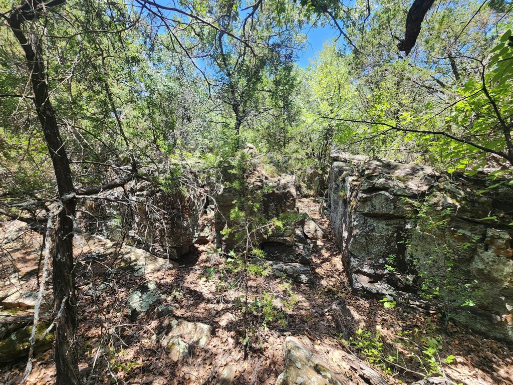 2784 Highway 180 Property Photo 14