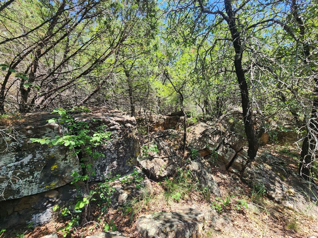 2784 Highway 180 Property Photo 15