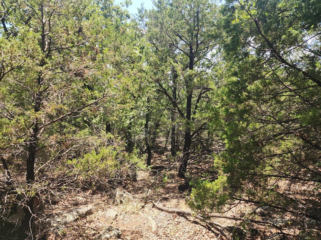 2784 Highway 180 Property Photo 16